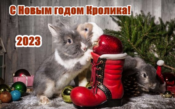 с новым годом 2023