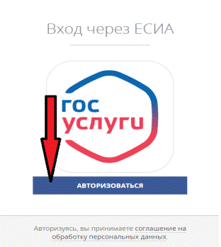 Будет предложено авторизоваться на портале с использованием учетной записи госуслуг. Нажмите кнопку "Авторизоваться":